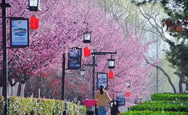 谁说旅行必须做攻略?在西安街头随意Citywalk,才是打开春天的正确方式