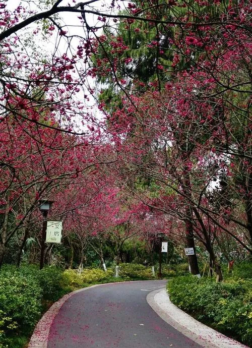 谁说旅行必须做攻略?在绵阳街头随意Citywalk,才是打开春天的正确方式