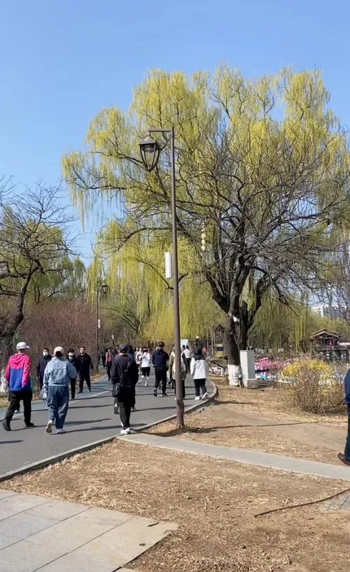 谁说旅行必须做攻略?在沈阳街头随意Citywalk,才是打开春天的正确方式