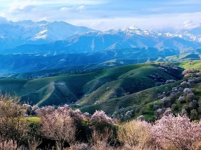 伊犁旅游全攻略:畅享美景与美食