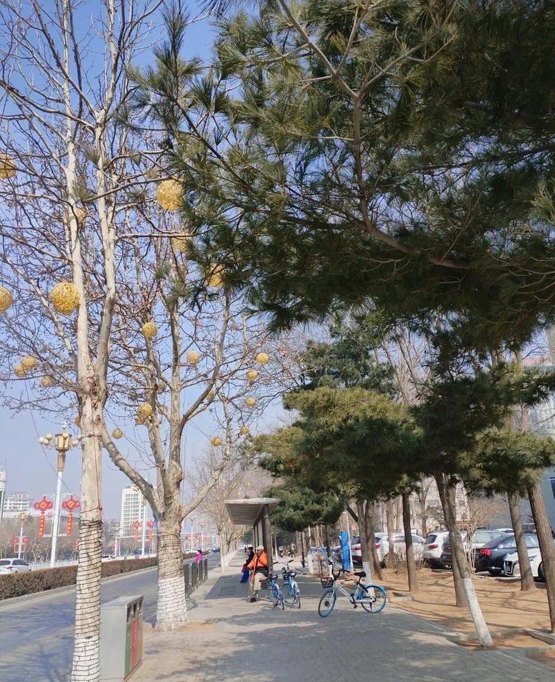 谁说旅行必须做攻略?在葫芦岛街头随意Citywalk,才是打开春天的正确方式