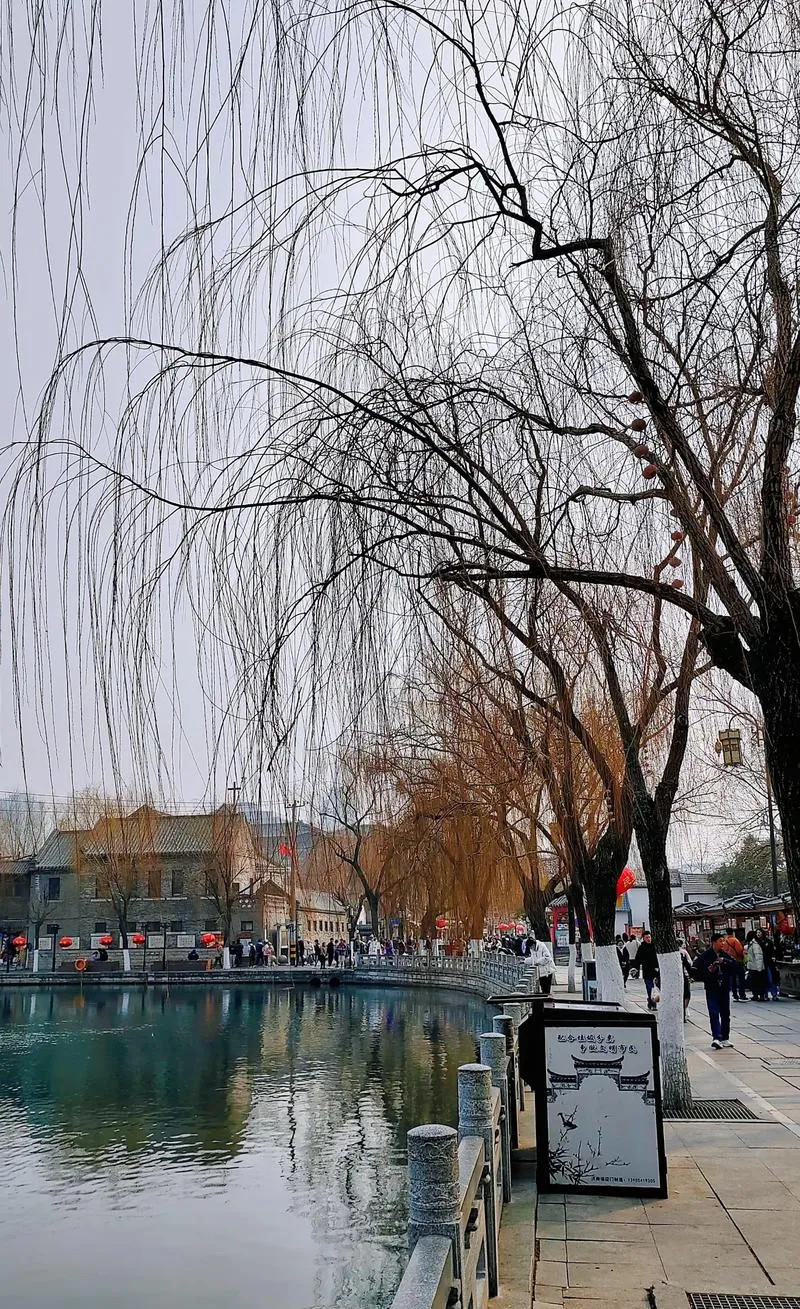 谁说旅行必须做攻略?在济南街头随意Citywalk,才是打开春天的正确方式