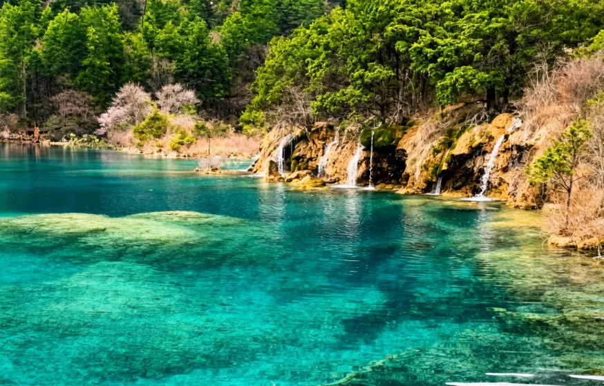 春假连休!溜娃踏春!亲子游玩超全攻略必看这篇!