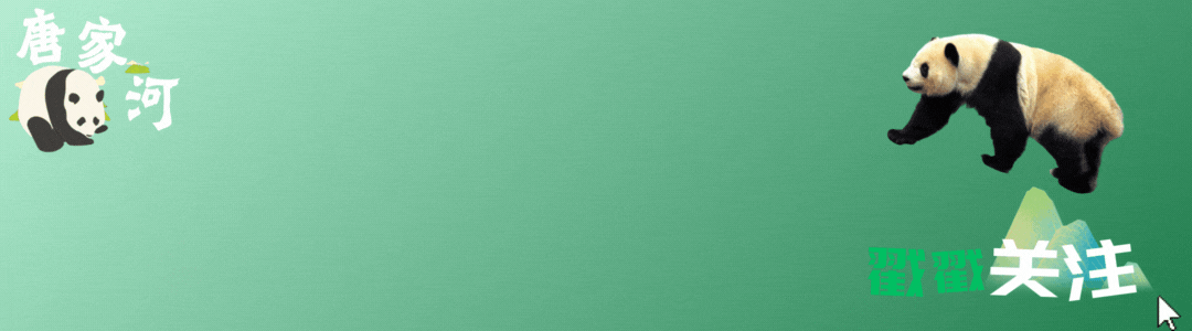 紫荆花季游玩全攻略|看明星、赏花海,玩转唐家河