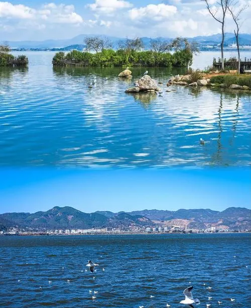 昆明攻略必看!实用昆明游玩全攻略(干货指南)