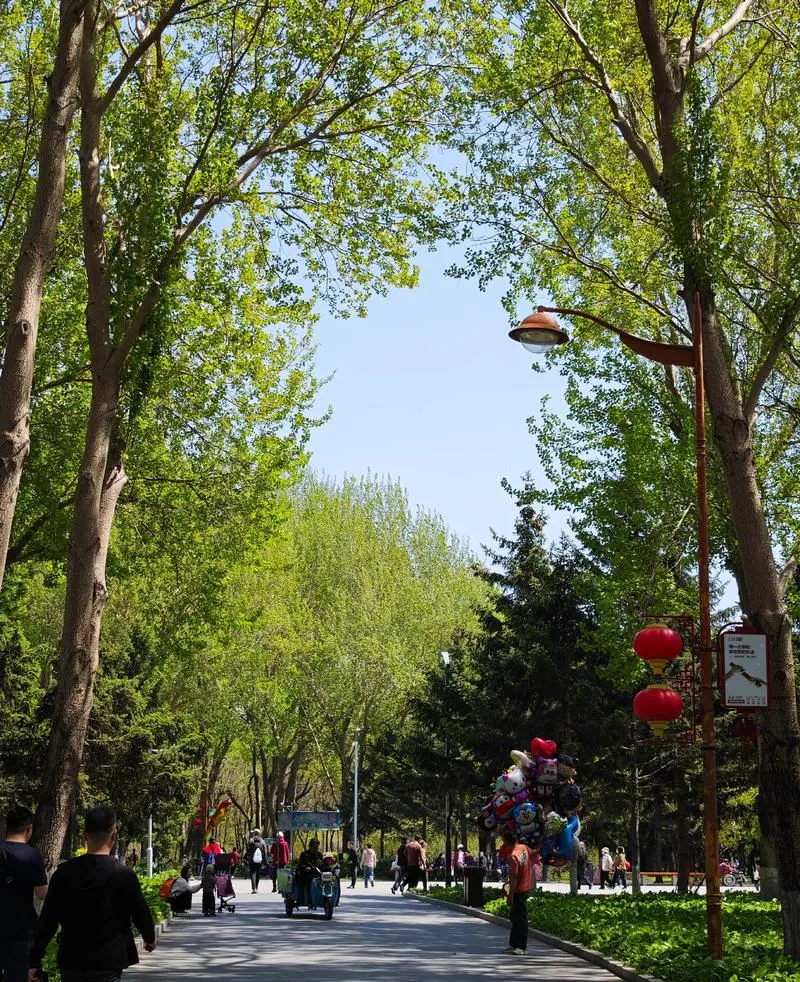 谁说旅行必须做攻略?在长春街头随意Citywalk,才是打开春天的正确方式