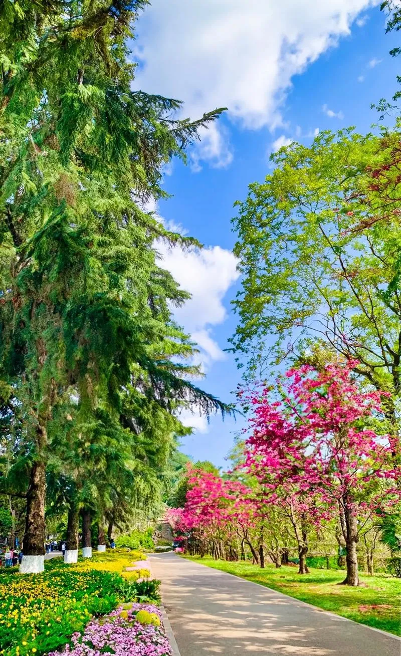 谁说旅行必须做攻略?在昆明街头随意Citywalk,才是打开春天的正确方式