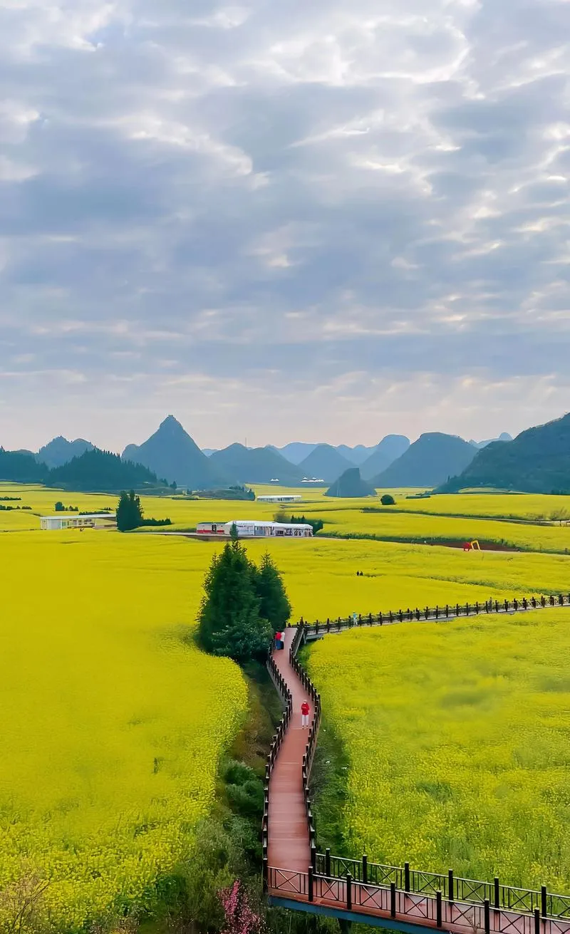 最适合2-3月旅行的6个小众宝藏城市,无需攻略,选一个就走!