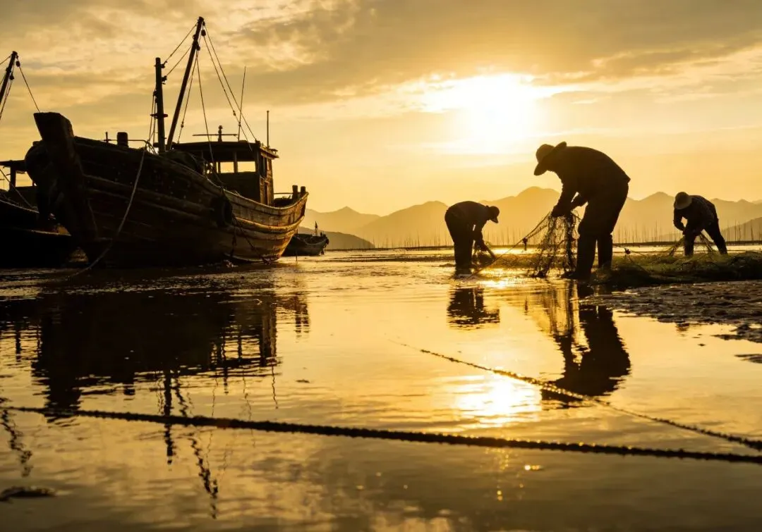 银发族旅行攻略:避开人潮,玩转小众景点,省钱又尽兴