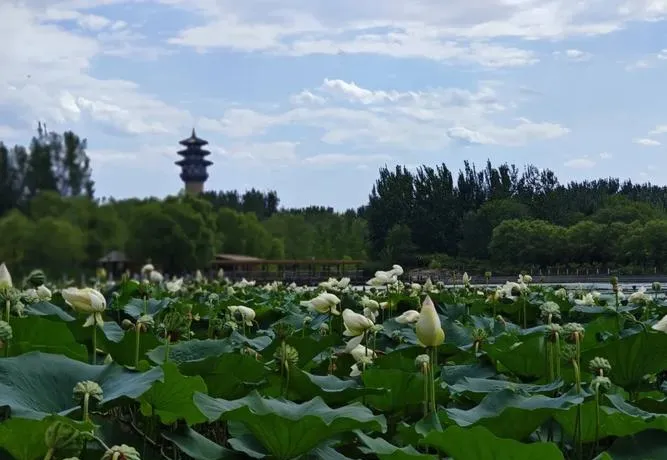 高铁直达!廊坊十大旅游景点精选,想来廊坊旅游,看这个攻略就够了!!!