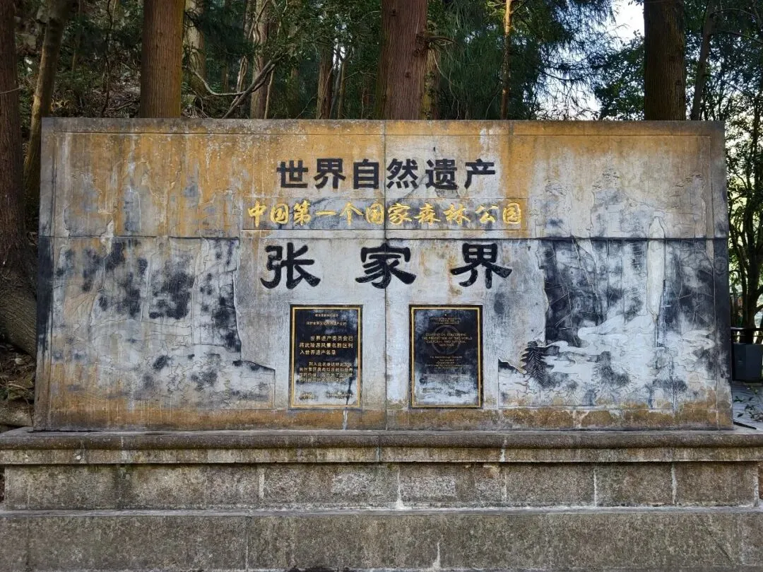 攻略 | 国内小城,老外扎堆?张家界保姆级旅行指南,一文看懂景区玩法与行程规划