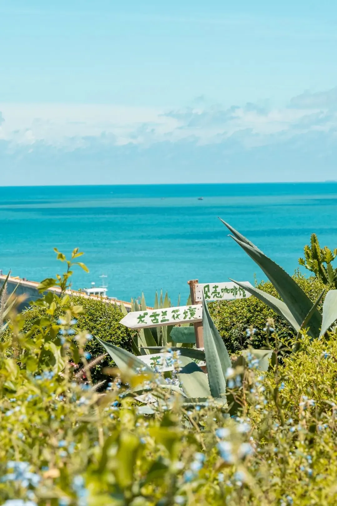 涠洲踏春 | 收好这份清明3天2晚春日游玩攻略!不负好春光