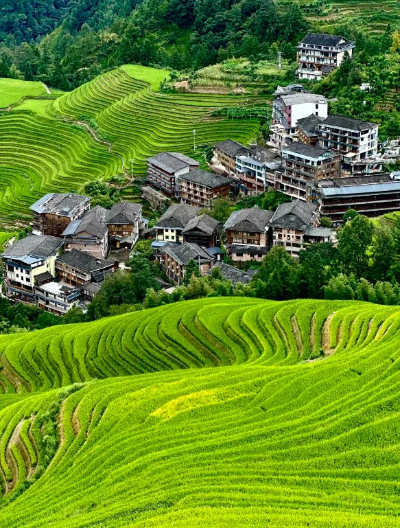 2026新版桂林旅游攻略,桂林必去景点以及4天3晚行程顺序