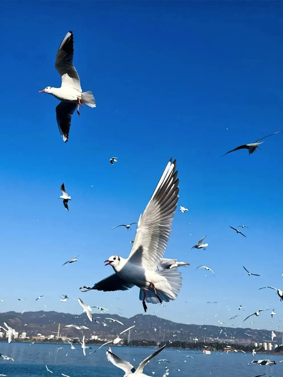 2026昆明旅游攻略:超详细省钱避坑与美食清单