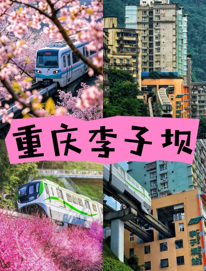 重庆不踩坑旅游攻略!3-5月来重庆前记得看下
