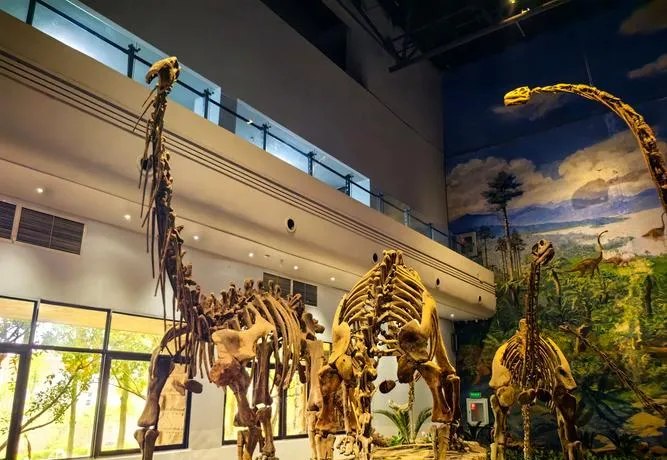 高铁直达!自贡十大旅游景点精选,想来自贡旅游,看这个攻略就够了!!!