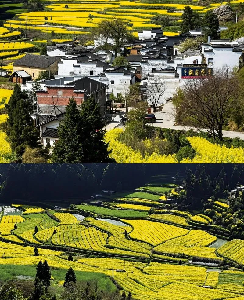 3-4月赏花正当时的8个绝美旅行地,无需攻略,挑一个就走!