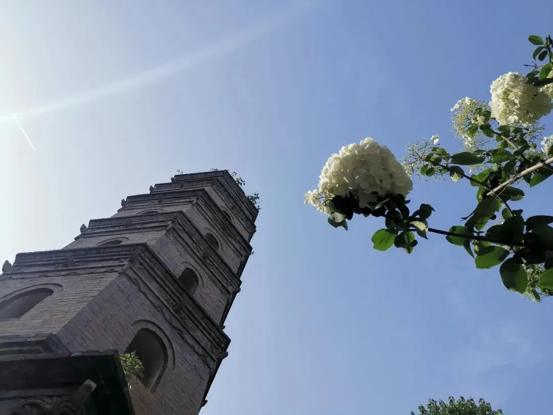 西安旅游攻略| 大兴善寺游记:世俗之间 烟火之外