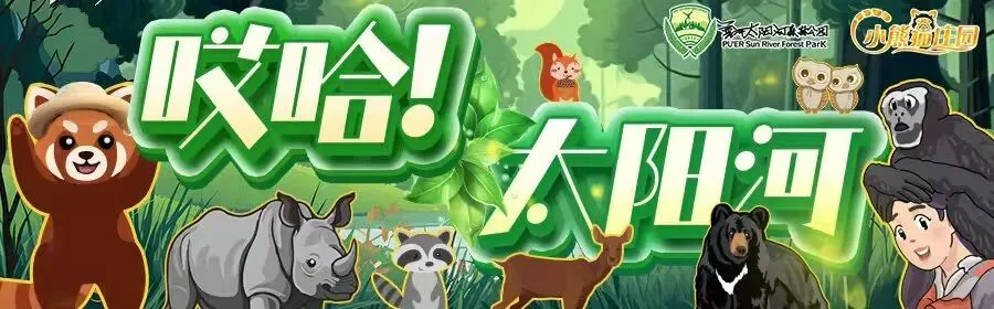 春假“撒野”指南|普洱小熊猫庄园两天一夜的游玩攻略,请查收!