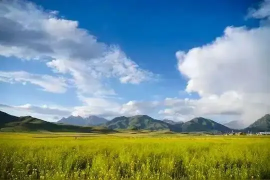 青海甘肃亲子旅游小包团:适合亲子家庭的选择指南解析