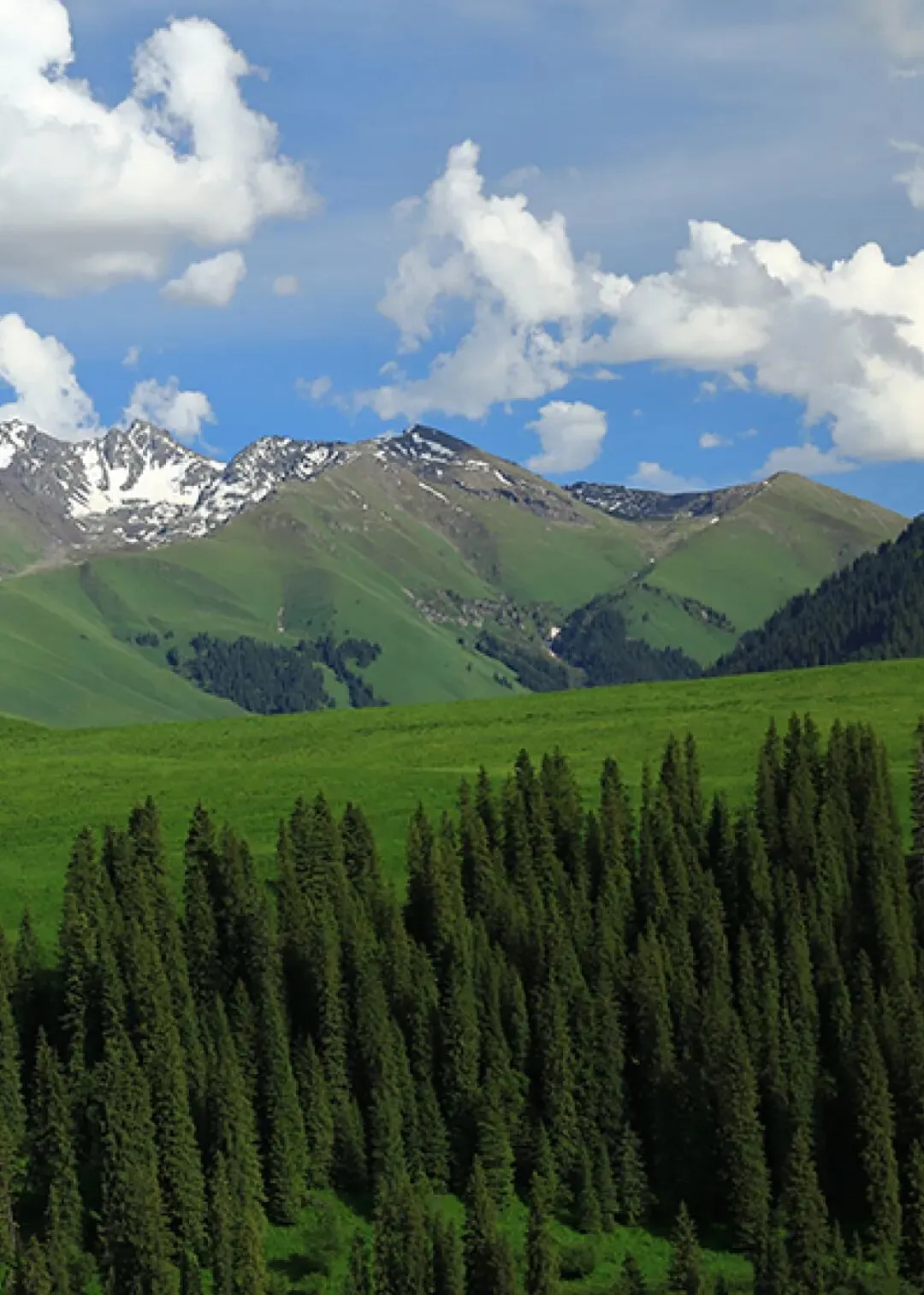 广州南方学院周边游玩全攻略