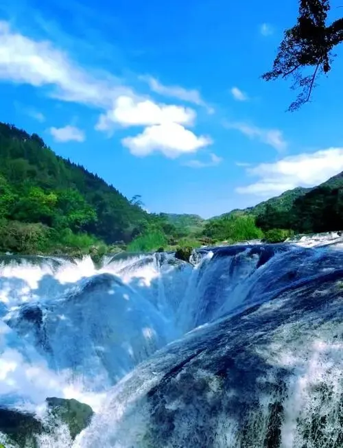 春日赴黔 2026贵州春季旅游全攻略,跟着楚天乐轻松玩转黔山秀水