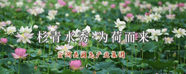 春日邀约 赴花而行丨春日赏花出游指南,赴一场浪漫花事!