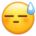 多图详解在加拿大续美国旅游签证(B1/B2)