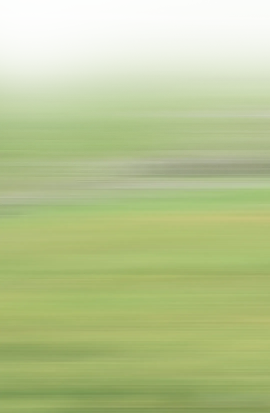 2026广西研学 | 桂林研学旅行,桂林七星区春日赏花地图,一键收藏,春风已至七星区,花海正待君来!这份2026春季赏花全涵盖6大打卡点