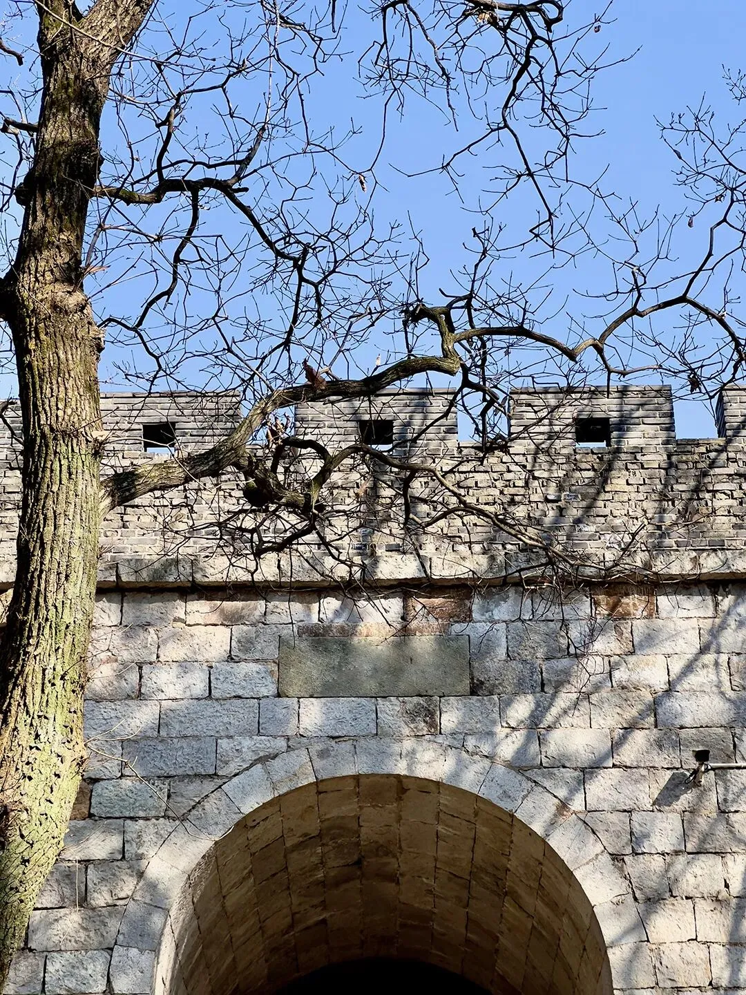 大学生周末旅游攻略:用48小时解锁城市新玩法