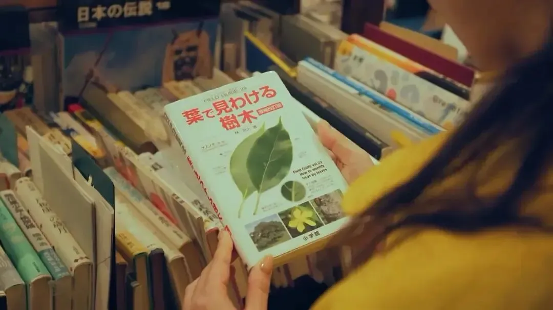 慢人旅行指南|在京都小住