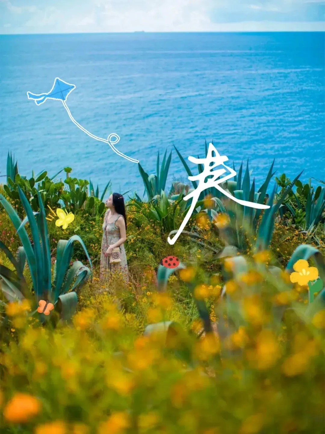 多地官宣春假!涠洲清明踏春全攻略,船票游玩一次性讲清