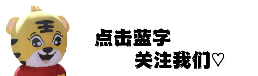 2026届毕业生专业求职指南(旅游管理、酒店管理、历史学)→