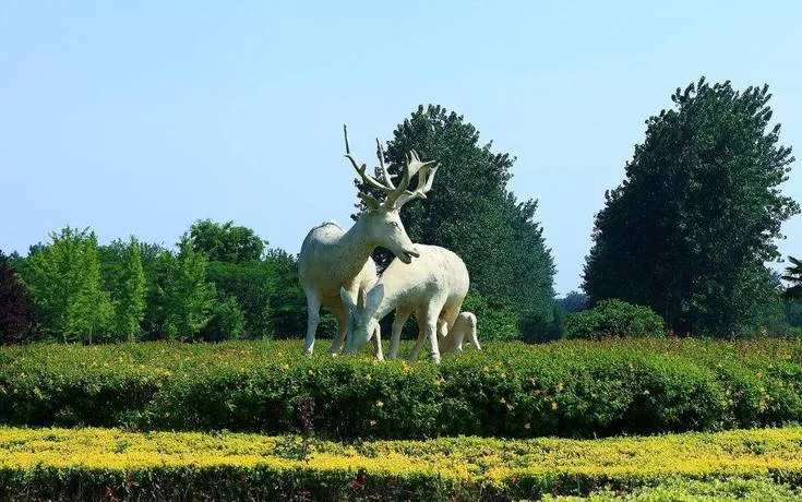 盐城|十大旅游攻略景点,强力推荐!