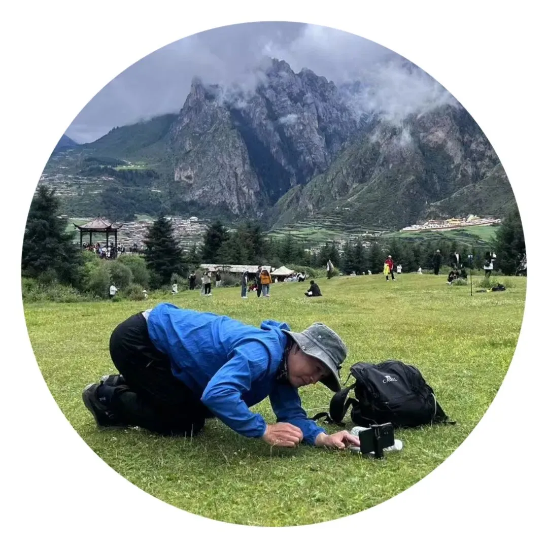 湖南省 自助游攻略丨岳阳楼 长沙 张家界凤凰古城 南岳衡山 莽山