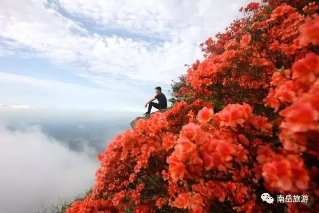 春假+清明连放6天!南岳踏青赏花游玩攻略已就位