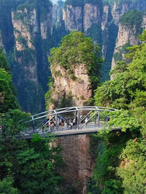【张家界】超全旅行攻略:探访世界自然遗产,感受山水画卷