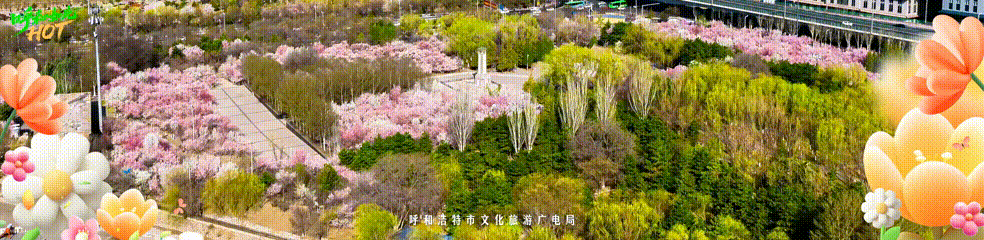 呼和浩特清明出游指南!踏青游玩安心走起