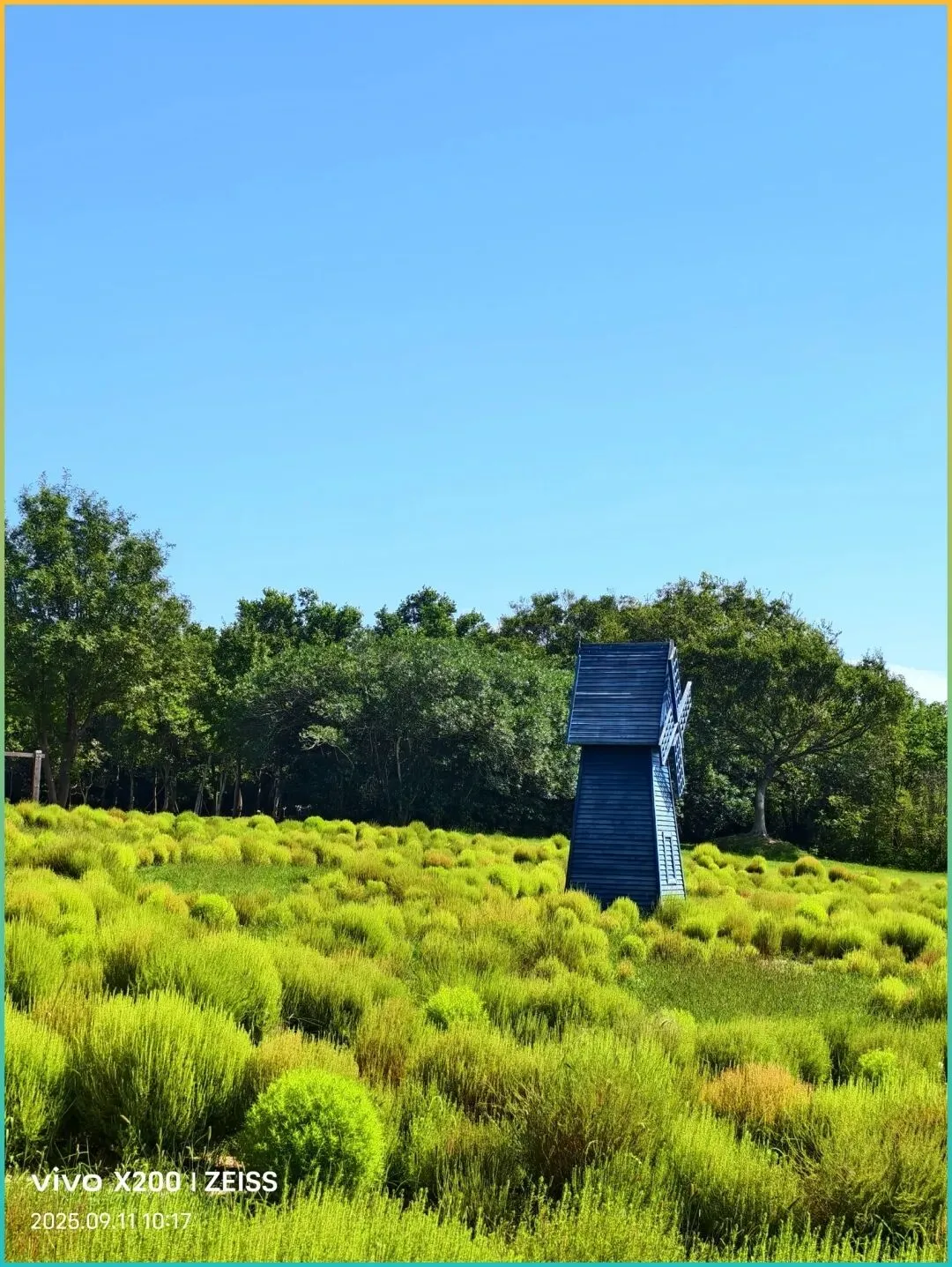 五一出行必备!江浙沪这8条自驾路线,人少景美,错过等一年!