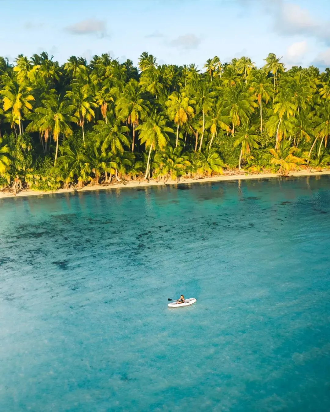 白兰度私岛度假村荣获福布斯旅游指南五星殊荣以自然理念开启“地球一小时”特别体验