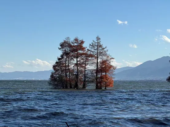 【旅游攻略】云南旅游攻略(三):大理