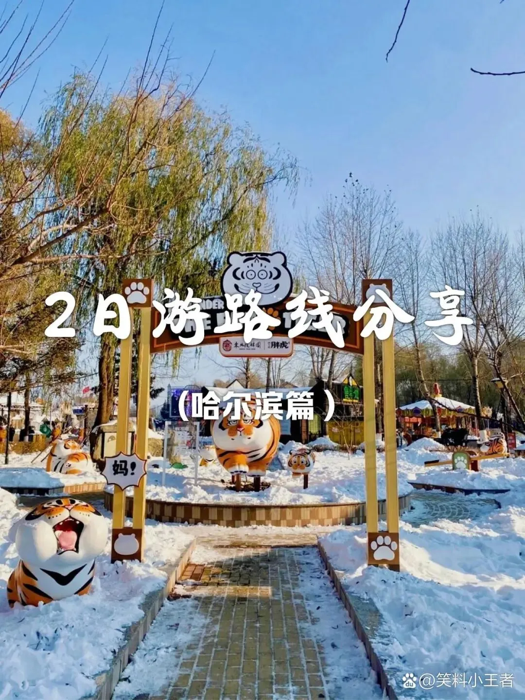 05大学生寒假穷游|南京两天一夜旅游攻略