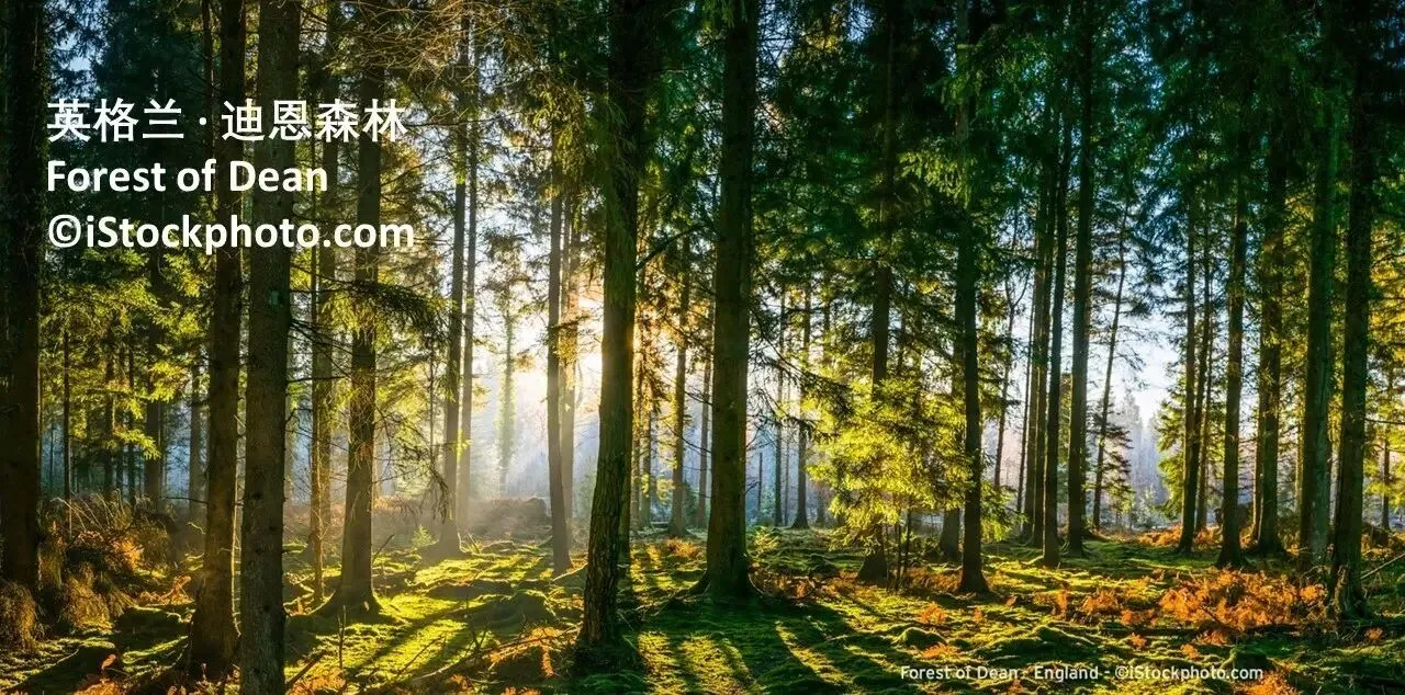 英国电影旅行攻略