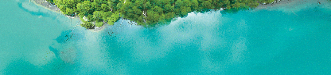 春日旅行计划——西藏林芝,现在就出发!