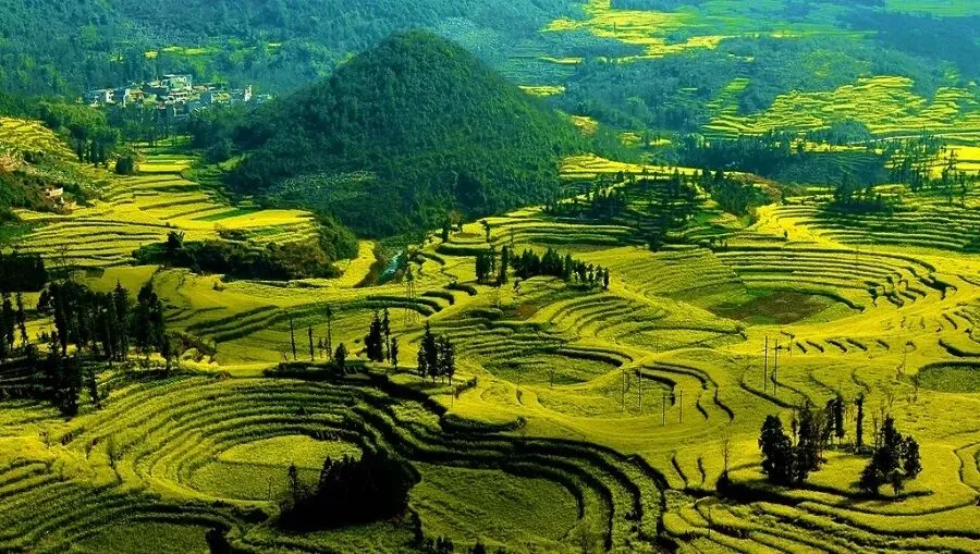 收藏!这份3-4月旅行指南,4个目的地承包你的春天!春光正好,说走就走!美到足以装满你的眼睛和相机!