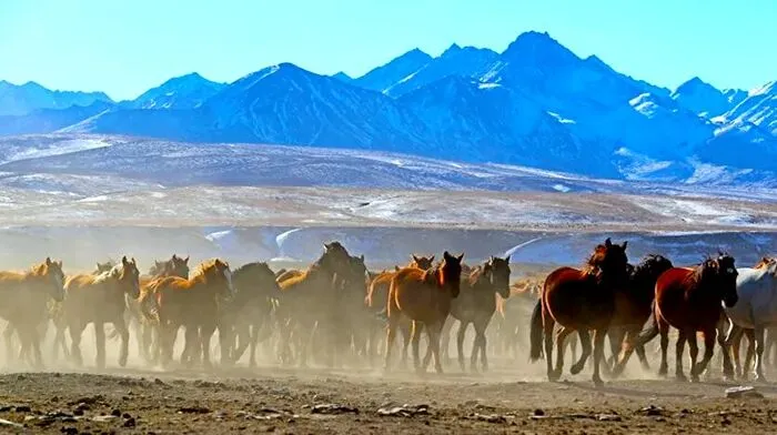 山丹军马场旅游全攻略介绍