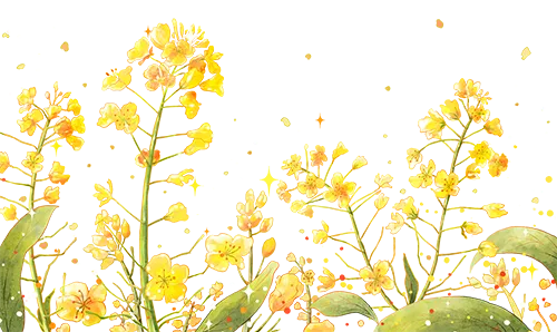 2026年新疆旅行攻略|Pro Max版