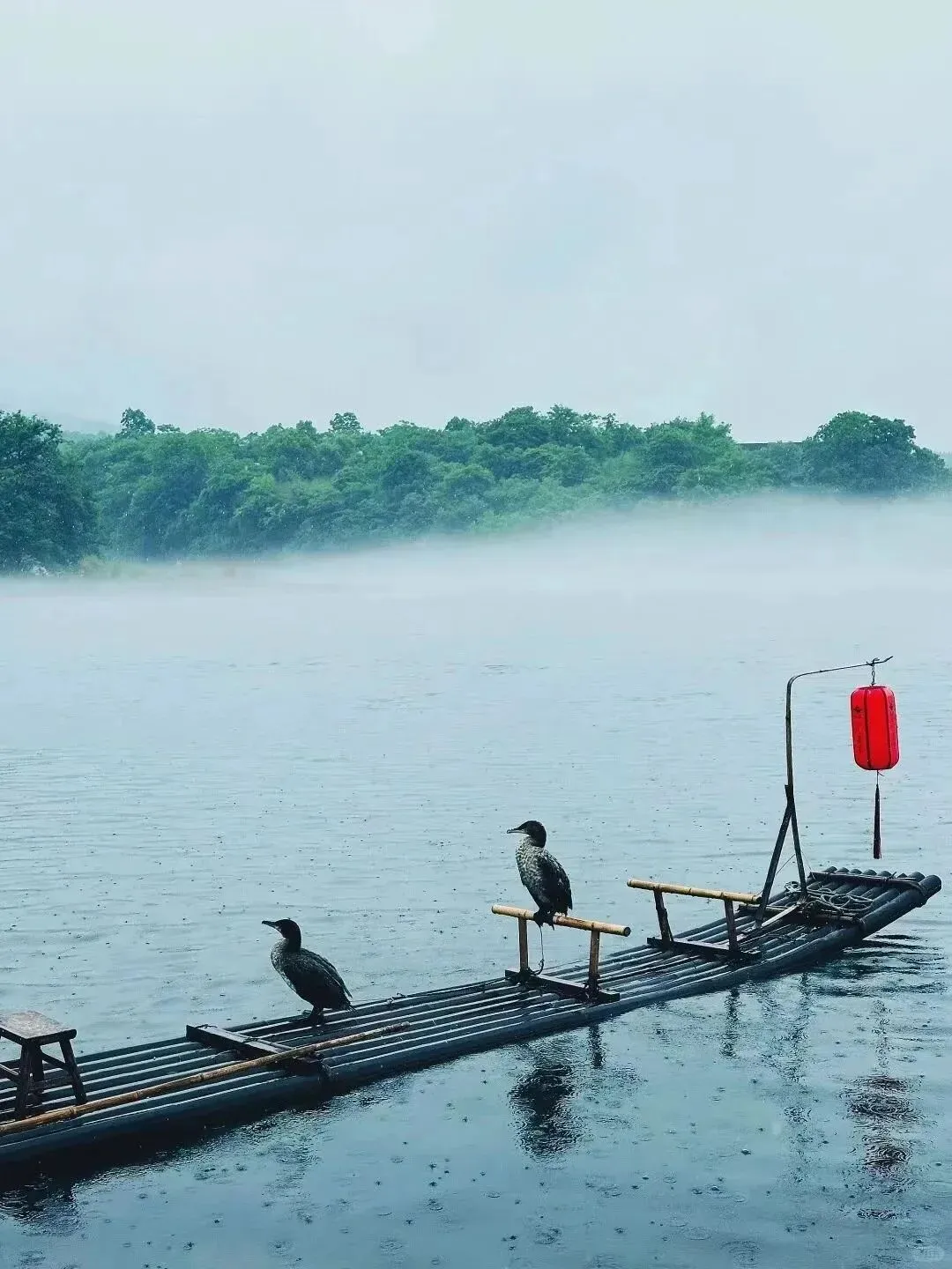 江浙沪皖周边绝美春游自驾路线,太有用了,赶紧收藏!2026年4月走起!