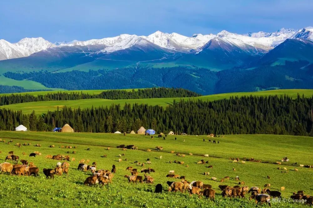 新疆旅游攻略路线最佳路线及费用:2026年亲子家庭游全解析