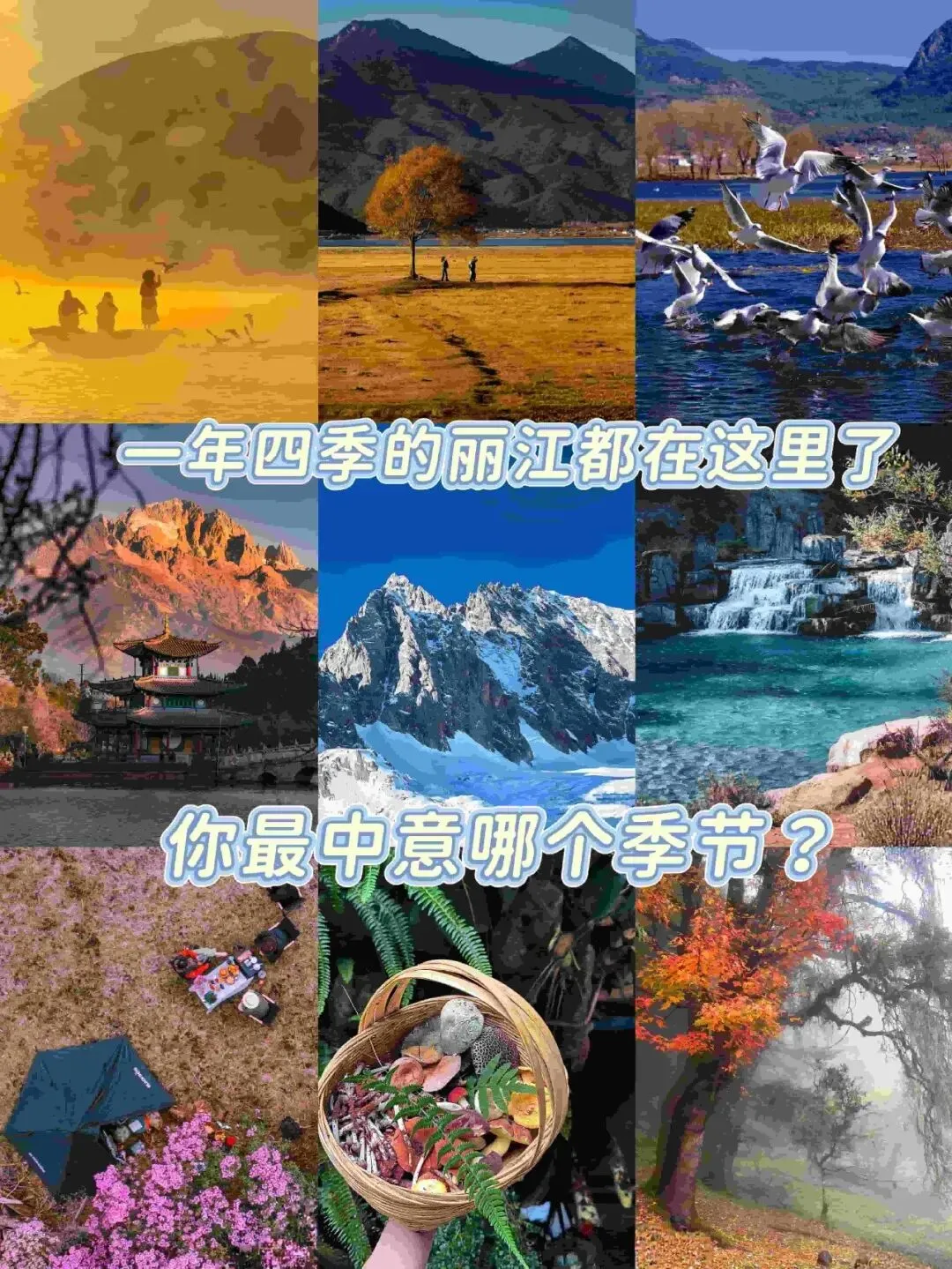 丽江四季全攻略|团建/旅游闭眼冲